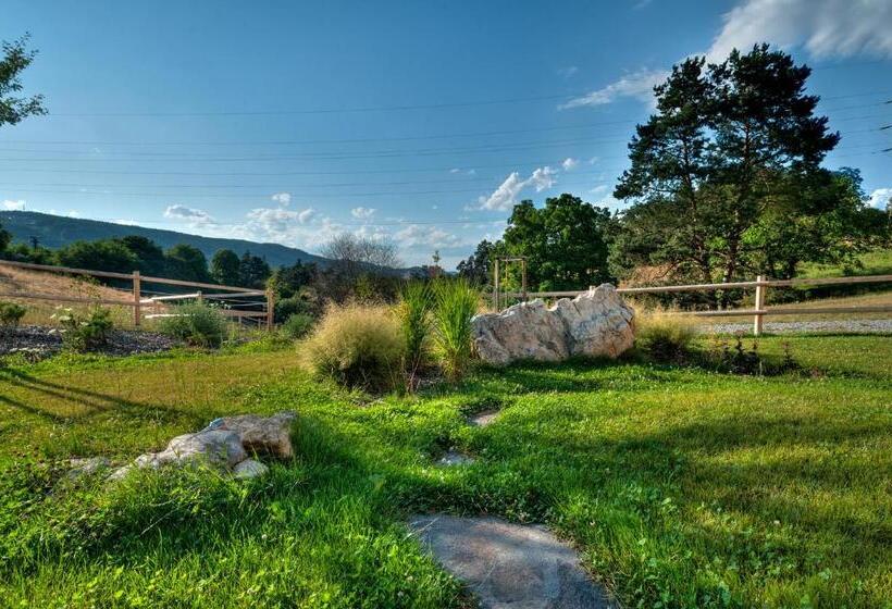 بنسيون Statek Samsara