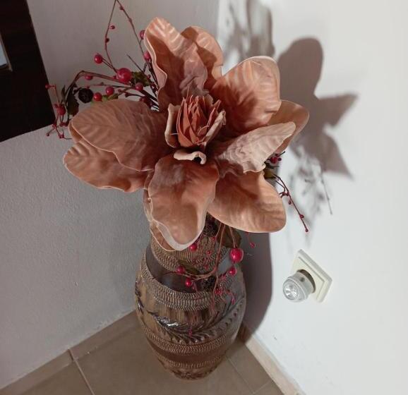 펜션 Ubytování Na Hájence