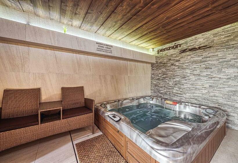Пансион Zet Penzion & Wellness