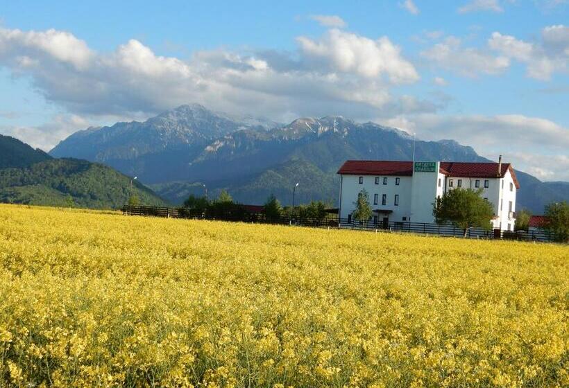 Pensiunea Cetatea Craiului