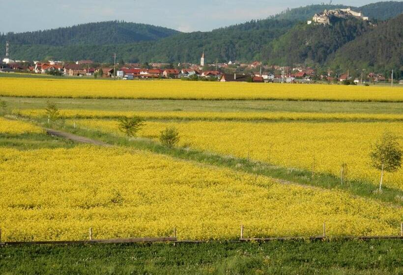 Pensiunea Cetatea Craiului