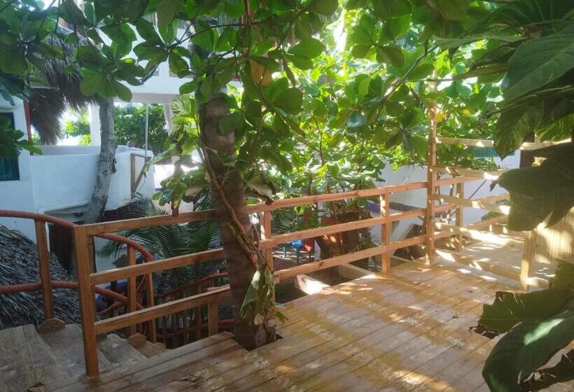 فندق صغير Bambú Ecocabañas