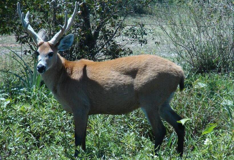 הוסטל Posada Uguay Esteros Del Iberá