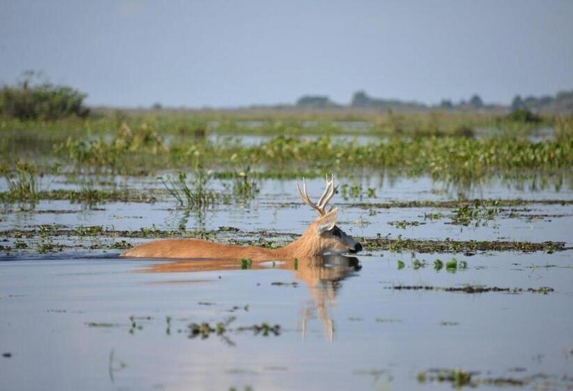 הוסטל Posada Uguay   Esteros Del Iberá