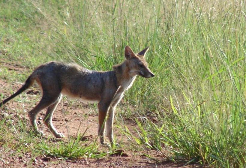 הוסטל Posada Uguay   Esteros Del Iberá