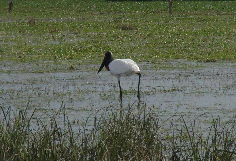 הוסטל Posada Uguay   Esteros Del Iberá