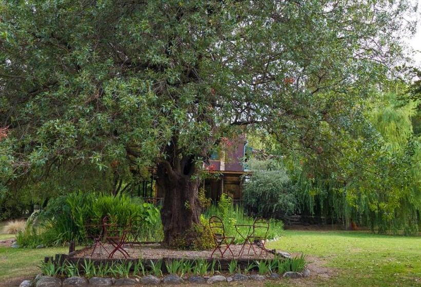 ユースホステル Puesto Victoria   Adults Only