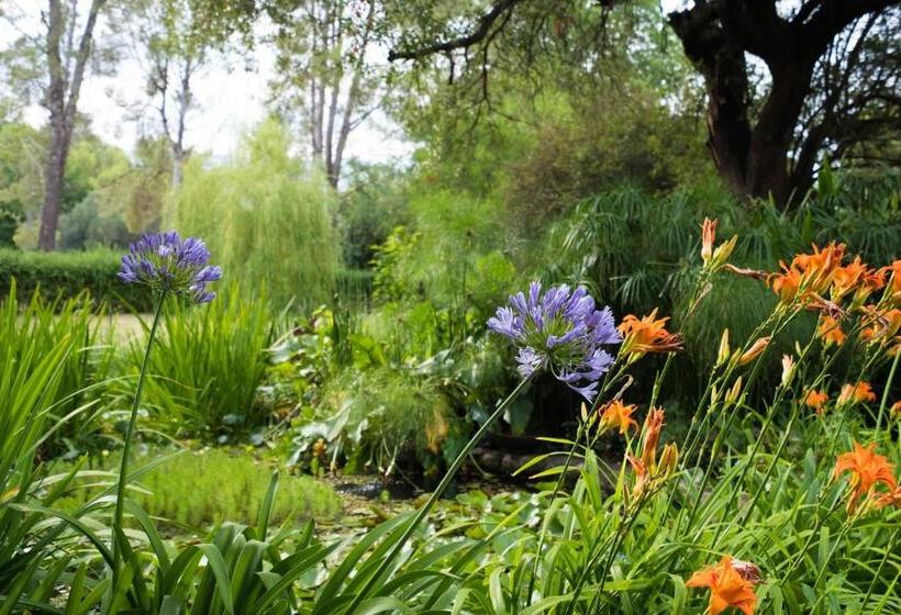 ユースホステル Puesto Victoria   Adults Only