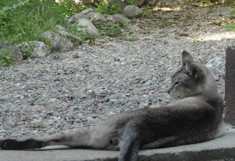 ユースホステル Puesto Victoria   Adults Only