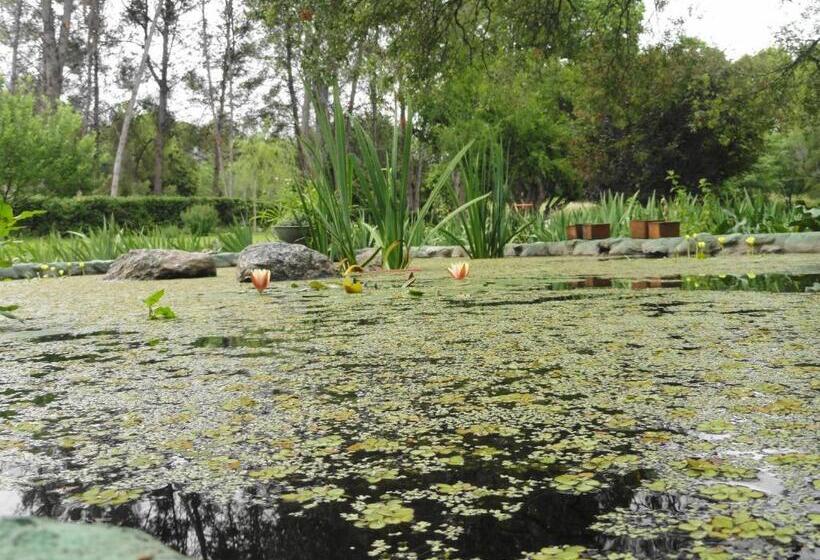 ユースホステル Puesto Victoria   Adults Only