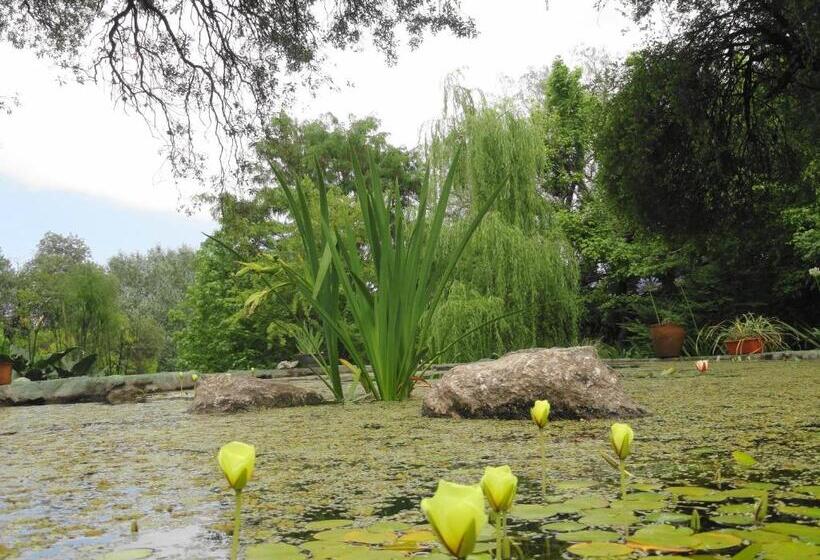 ユースホステル Puesto Victoria   Adults Only