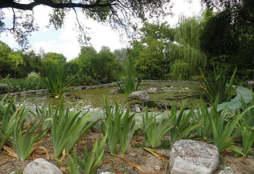 ユースホステル Puesto Victoria   Adults Only