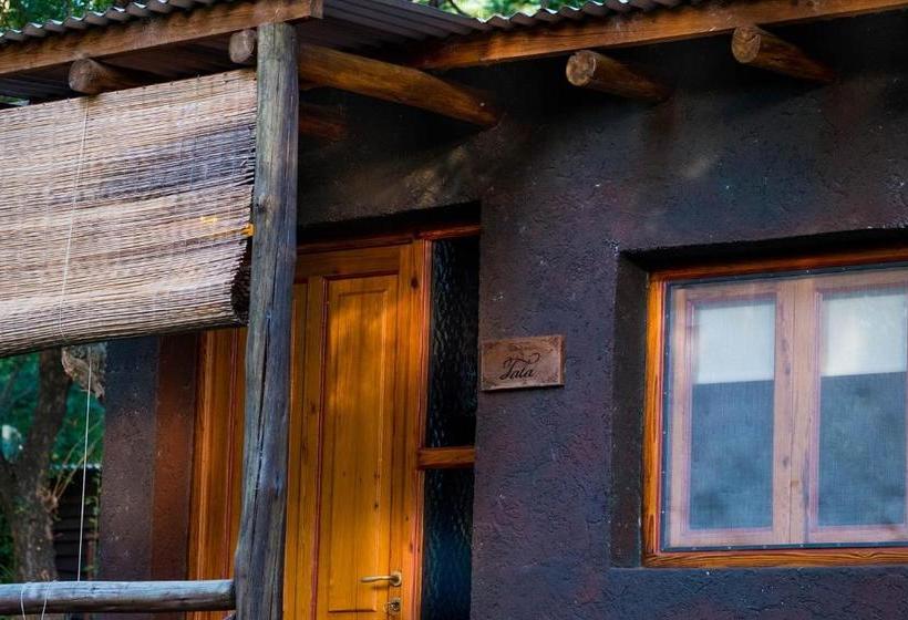 ユースホステル Puesto Victoria   Adults Only