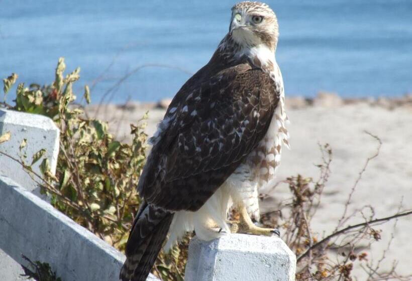 צימר Inn On The Sound