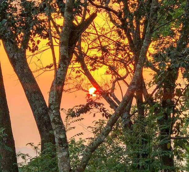 Отель Welikande Yoga Retreats