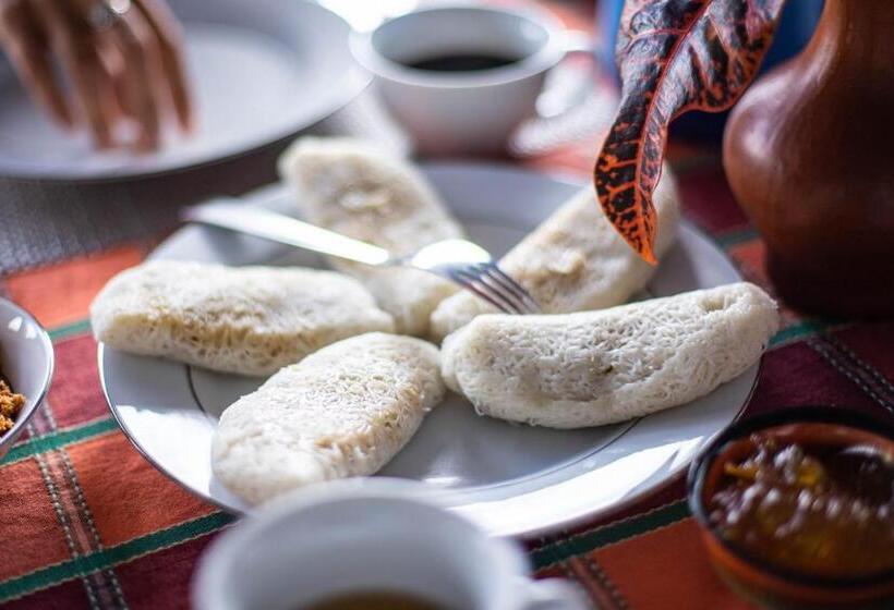 Отель Welikande Yoga Retreats