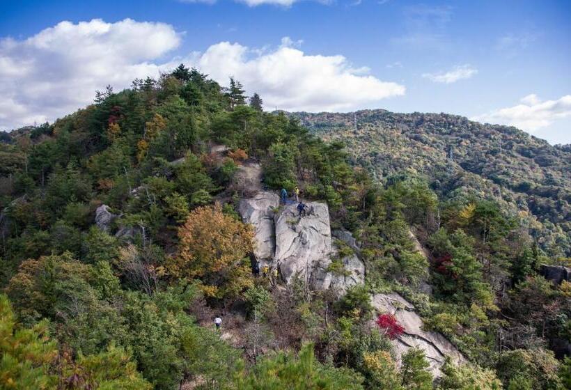 膳宿费 88 House Hiroshima