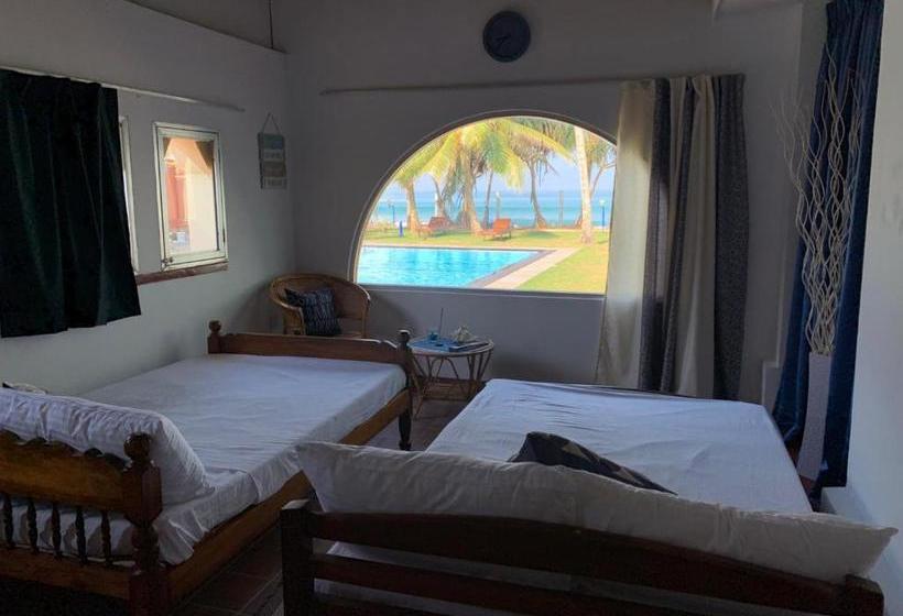 פנסיון Airy Dale Villa And Guesthouse