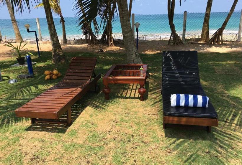 פנסיון Airy Dale Villa And Guesthouse