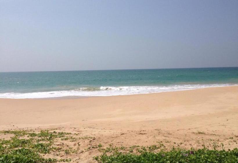 פנסיון Airy Dale Villa And Guesthouse