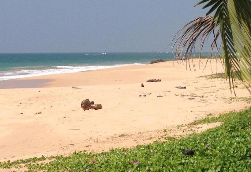 פנסיון Airy Dale Villa And Guesthouse