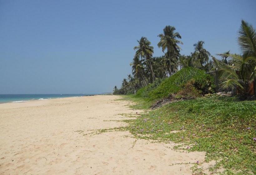 פנסיון Airy Dale Villa And Guesthouse