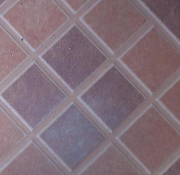 פנסיון Airy Dale Villa And Guesthouse