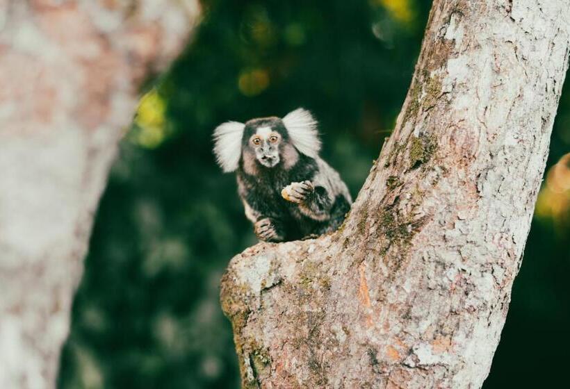 Пансион Casas Di Monte Ecopousada