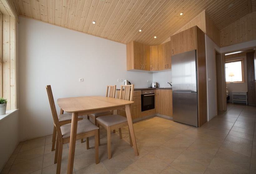 پانسیون Dimmuborgir Guesthouse