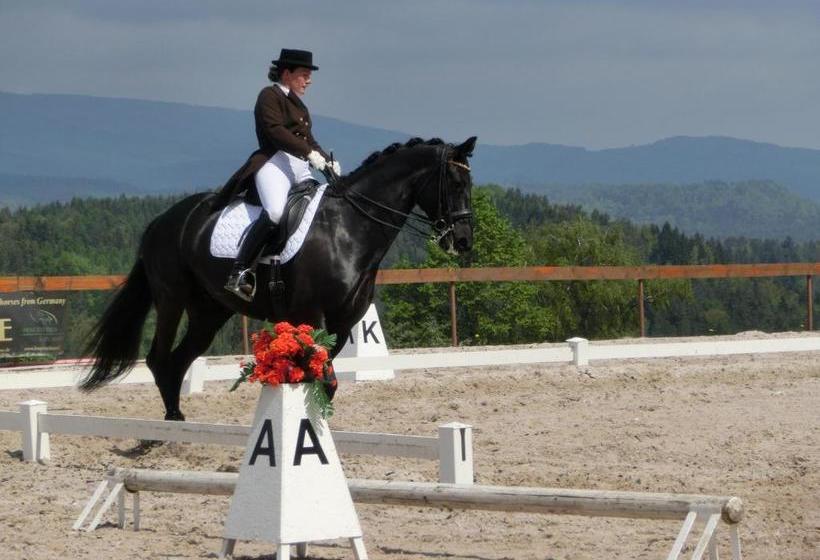 펜션 Dvůr Stráň