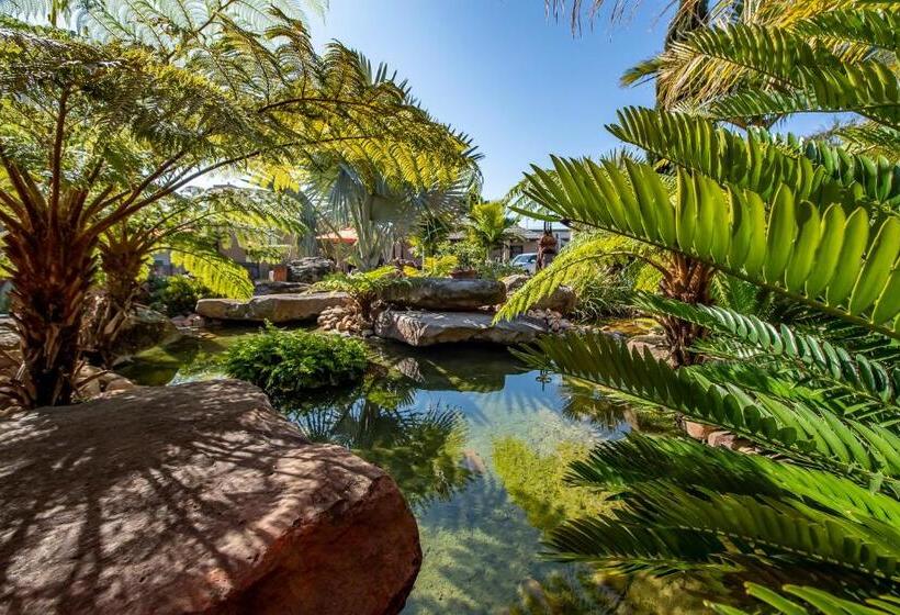 פנסיון Excellent Guest House