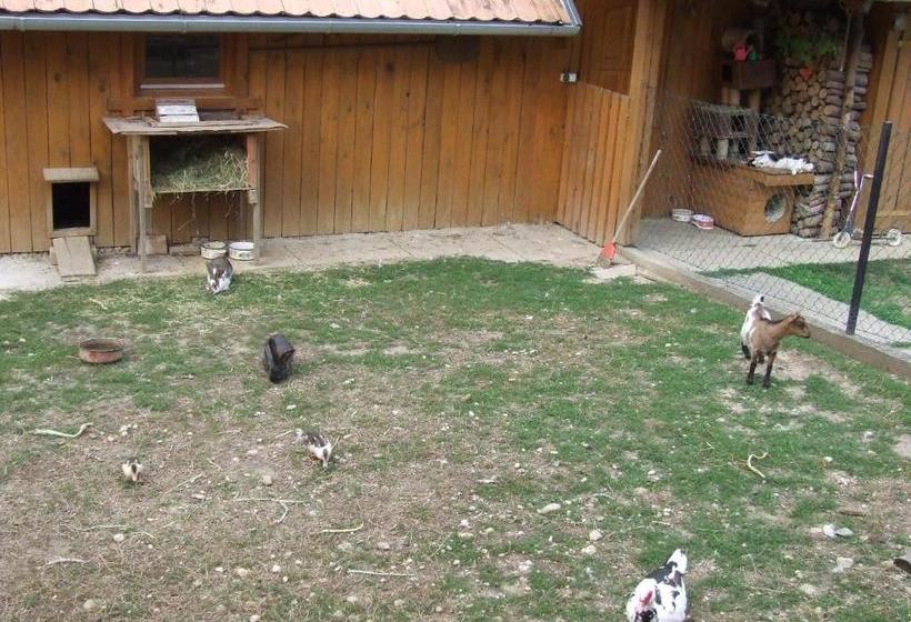 پانسیون Ezerjó ökofogadó