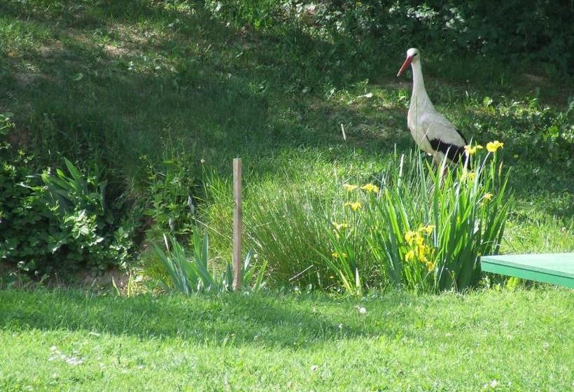 پانسیون Ezerjó ökofogadó