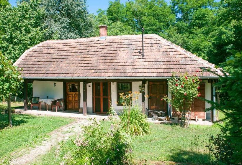 پانسیون Fecskefészek Vendégház őriszentpéter