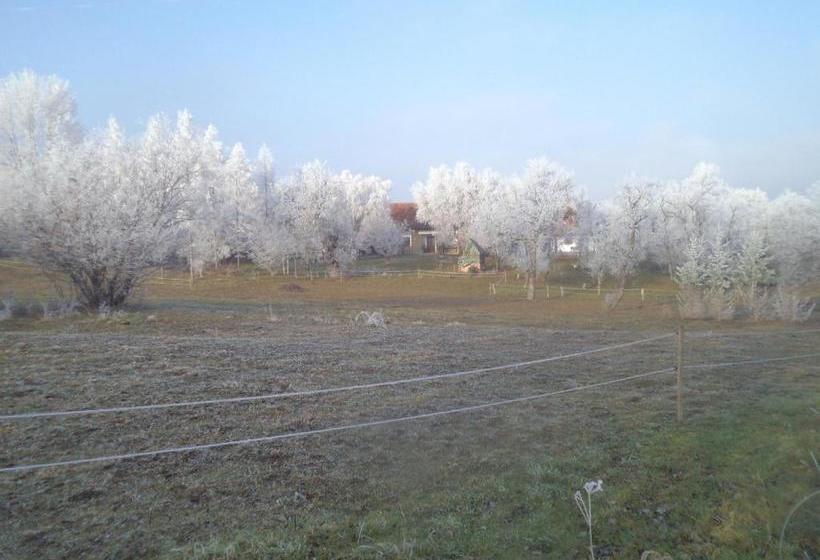 پانسیون Fecskefészek Vendégház őriszentpéter