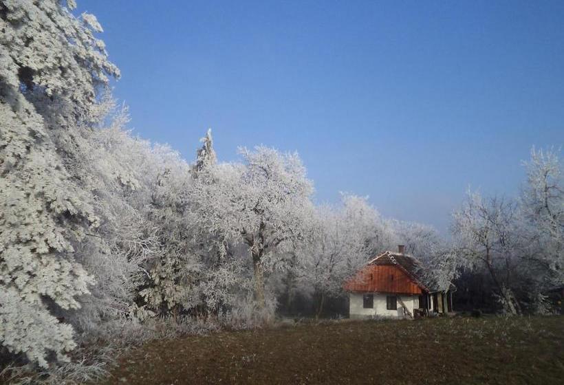 پانسیون Fecskefészek Vendégház őriszentpéter