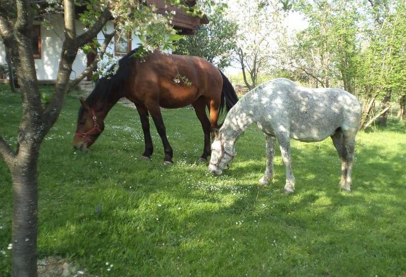 پانسیون Fecskefészek Vendégház őriszentpéter