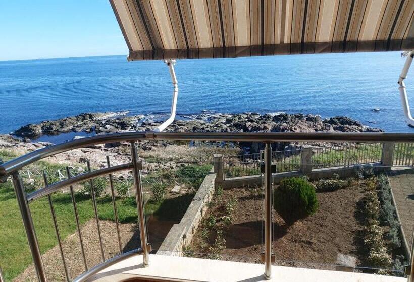 ペンション Guest House Skalite