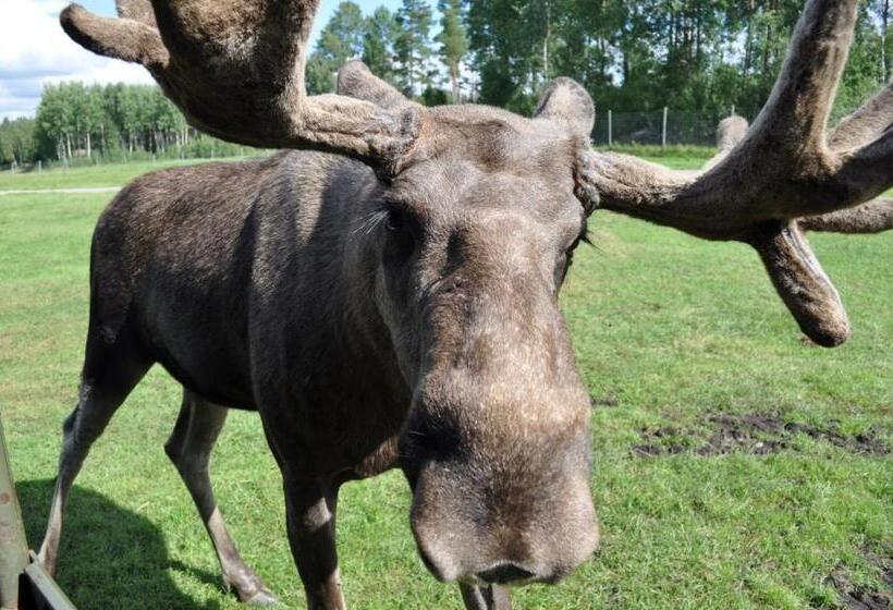 פנסיון Gula Huset