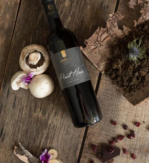 ペンション Hetényi Apartmanház és Birtok