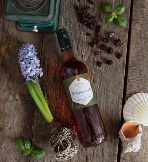 ペンション Hetényi Apartmanház és Birtok