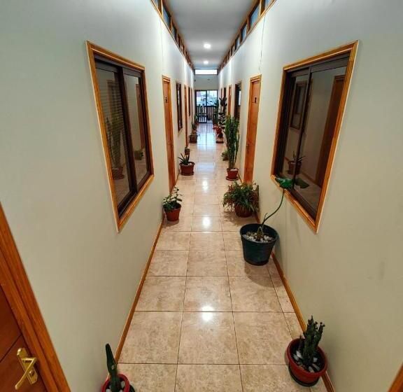 膳宿费 Hostal Inthalassa Caldera