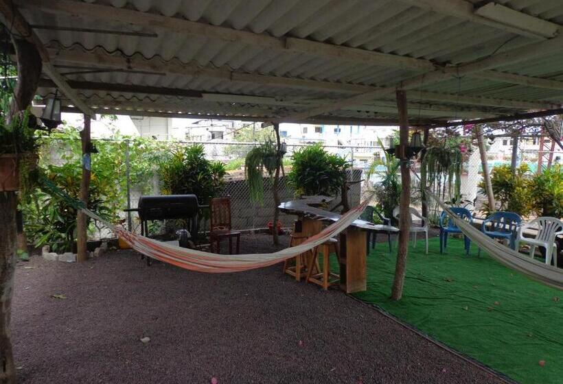 ペンション Hostal Nathaly