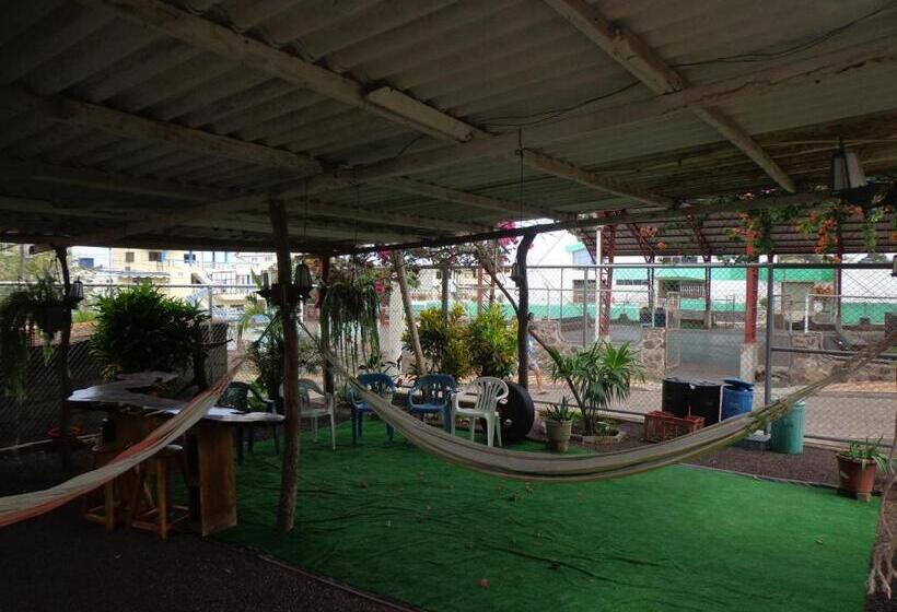 ペンション Hostal Nathaly