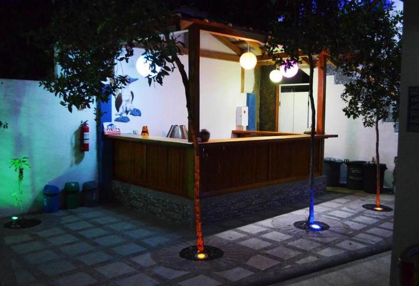 פנסיון Isla Azul