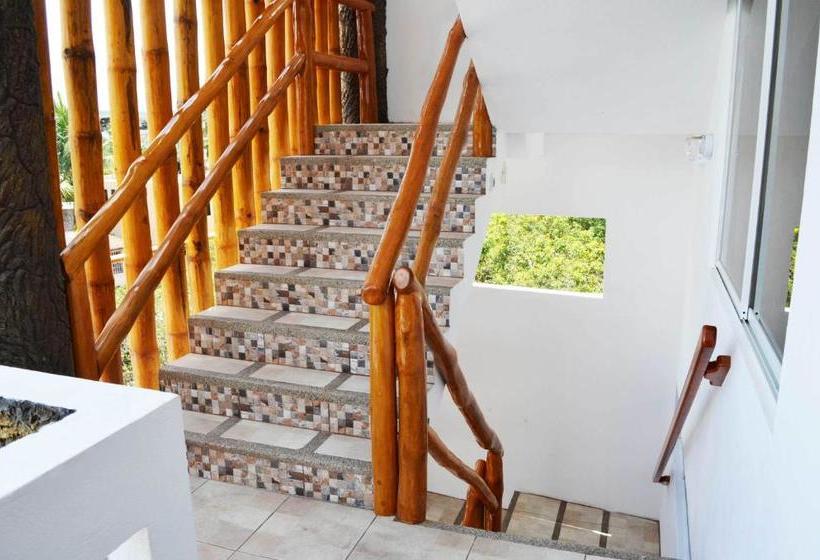 פנסיון Isla Azul