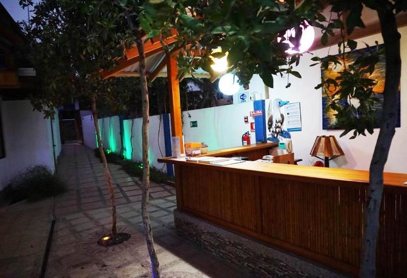 פנסיון Isla Azul