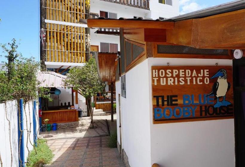 פנסיון Isla Azul