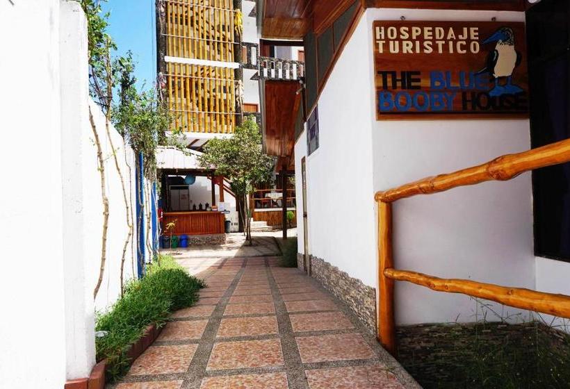 פנסיון Isla Azul