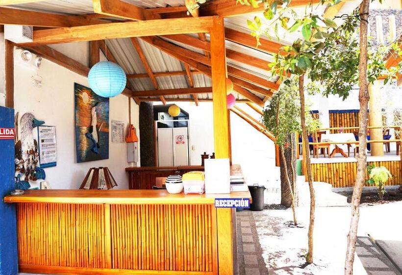 פנסיון Isla Azul